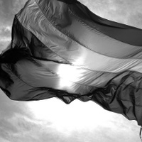 Гомосексуальность и бисексуальность