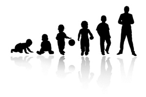 Половое развитие