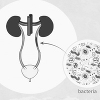 Инфекционные воспалительные заболевания