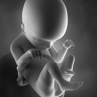 Неотчетливо сформированные половые органы