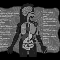 Воздействие  на репродуктивную систему