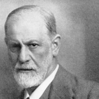 Теория полового развития Фрейда