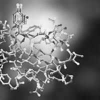 Гормоны пубертатного периода и сексуальность
