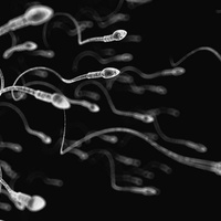 Мужское бесплодие
