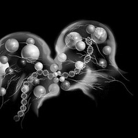 Сексуальность человека